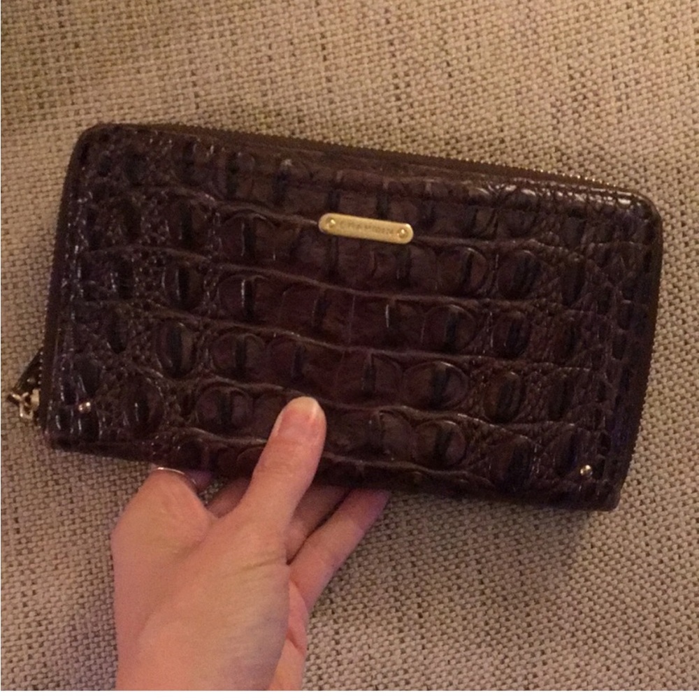 Brahmin Suri Wallet/Clutch: